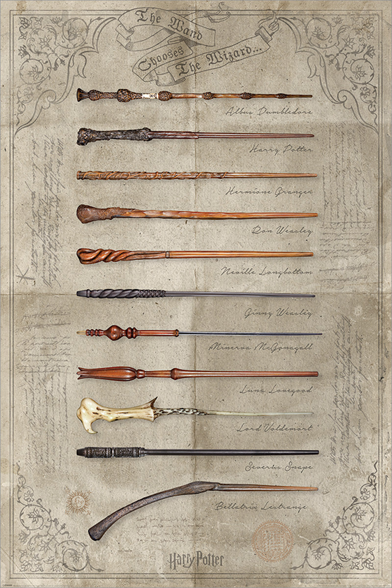 Poster Harry Potter - Hermione Granger, Wall Art, Gifts & Merchandise