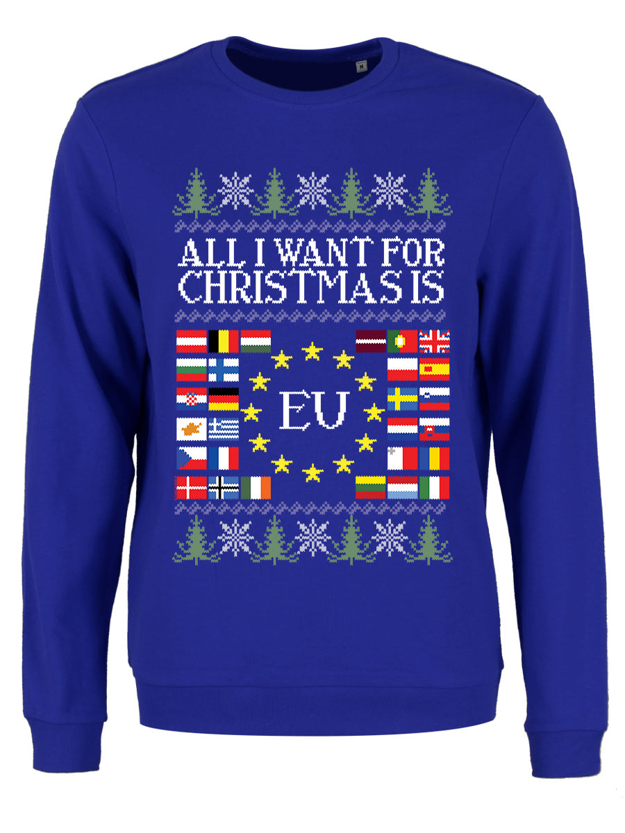 Blue xmas jumper best sale