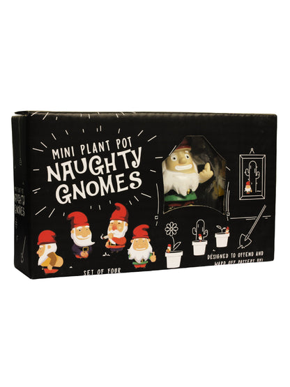 Mini Plant Pot Naughty Gnomes